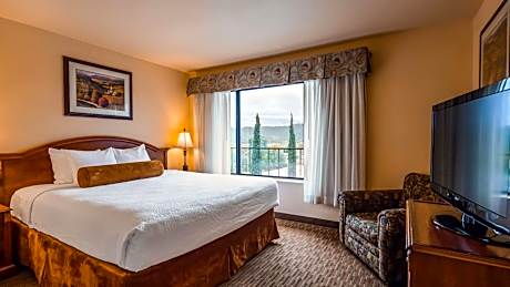 Suite-1 King Bed, Non-Smoking, Lake View, High Speed Internet Access, Microwave And Refrigerator