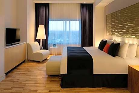 1 King Bed, Studio Suite, Nonsmoking with sofa bed