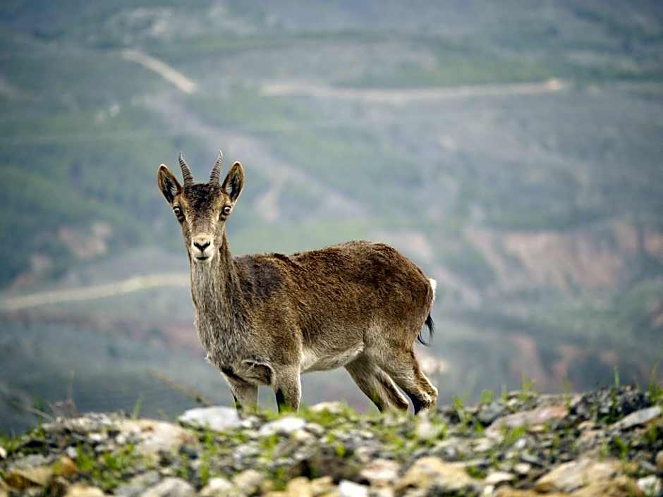 Casa Mimi B&B Adults Only