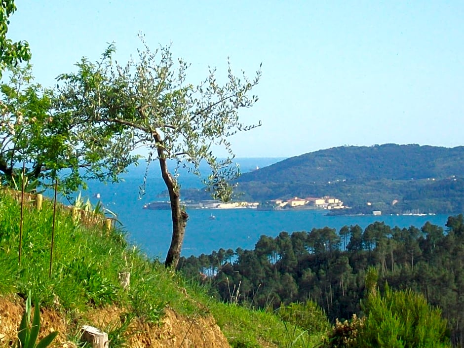 5 Terre - B&B La Giuditta - La Spezia
