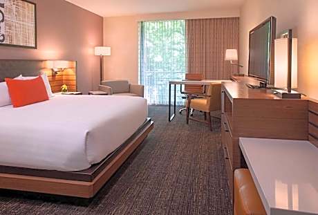 One-Bedroom King Suite