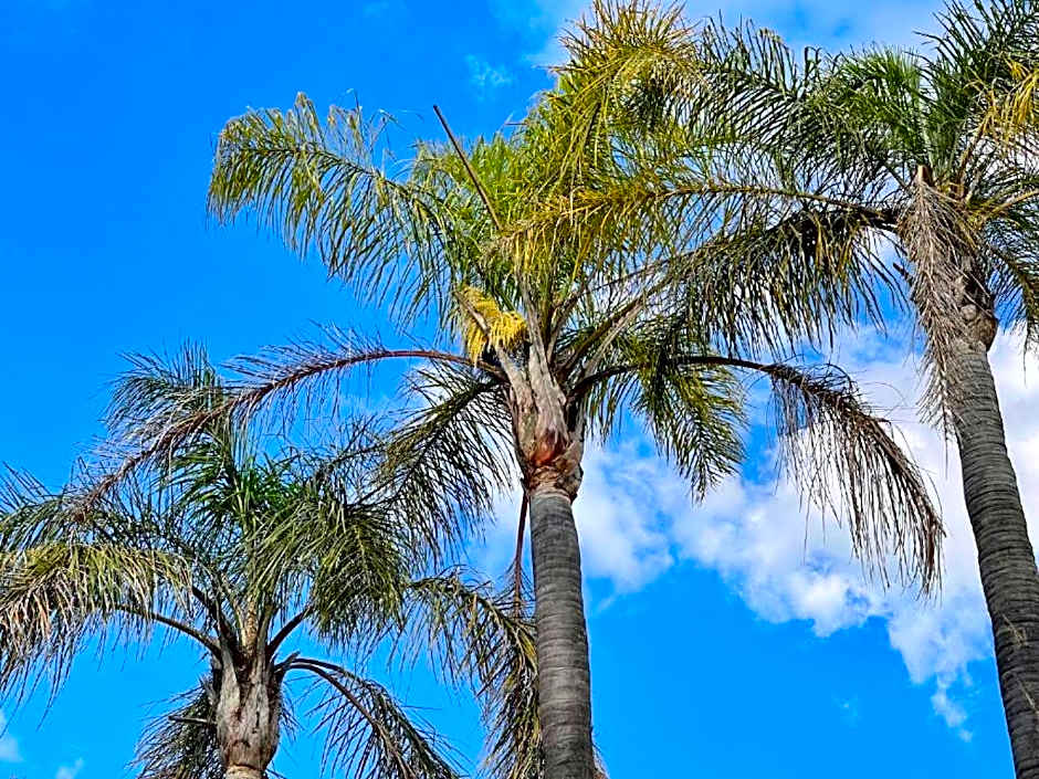 Azinnia Rivonia Guest House