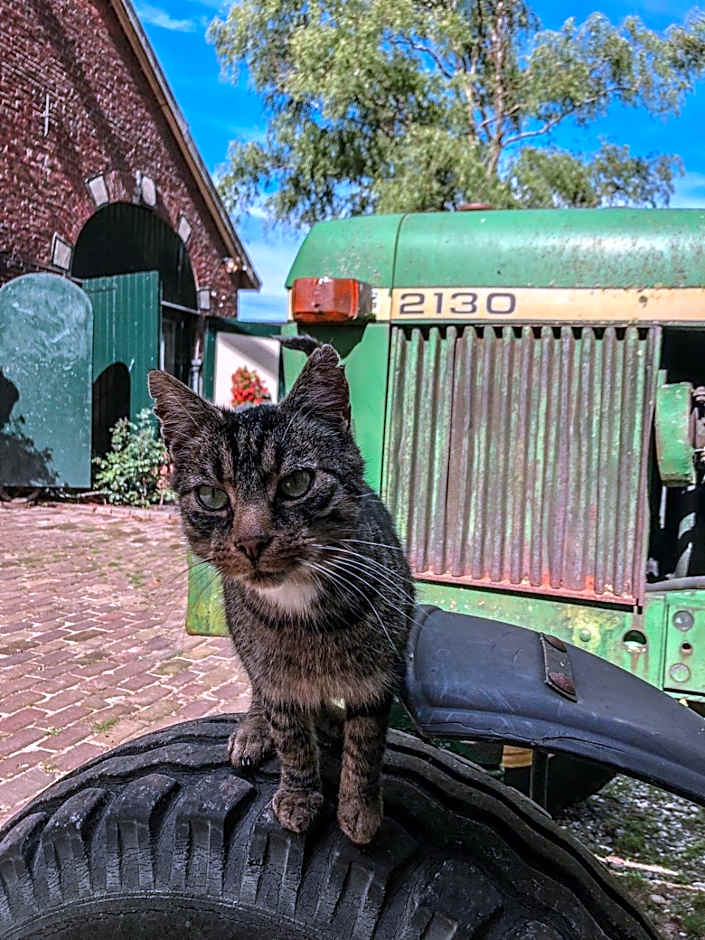 Erve Het Roolvink Boerderij Appartementen 40-50 M2