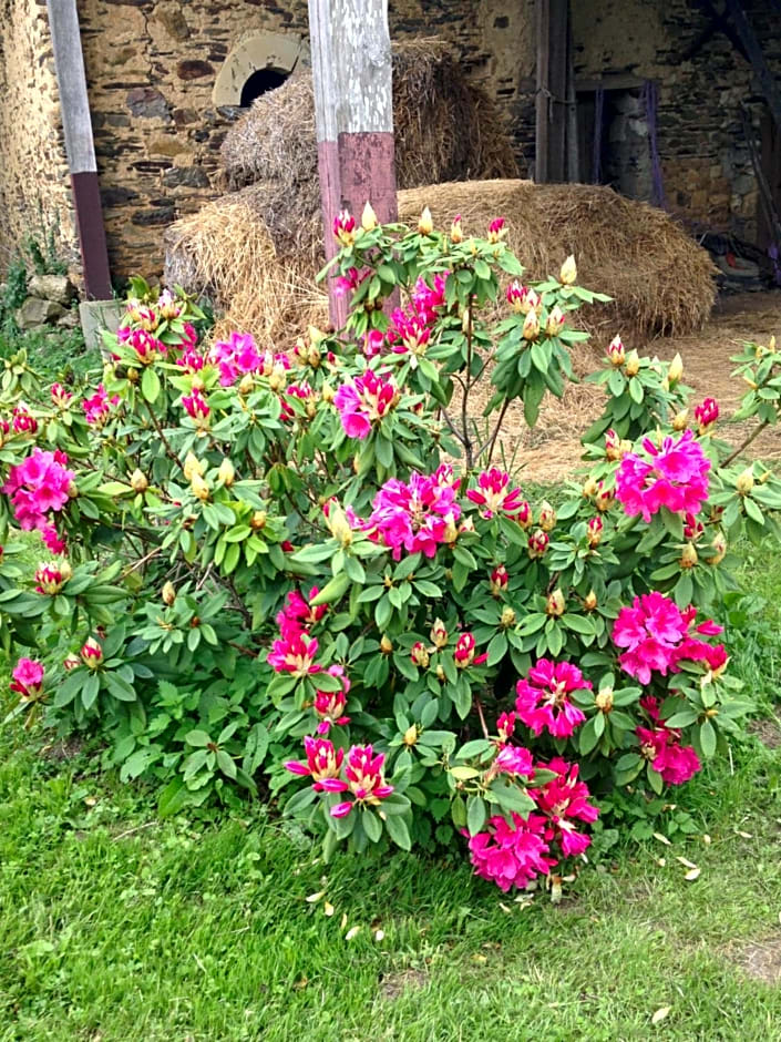 La Moulinière, jolie longère du XVIIè 25, chemin de la Source