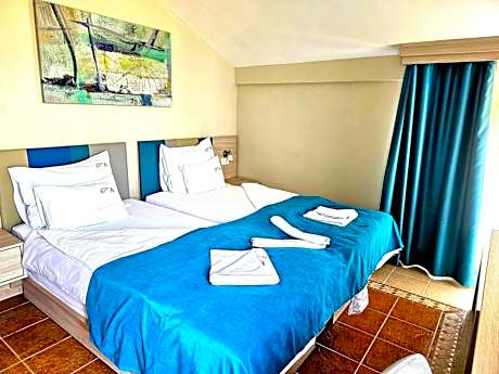 Double or Twin Room with Mountain View