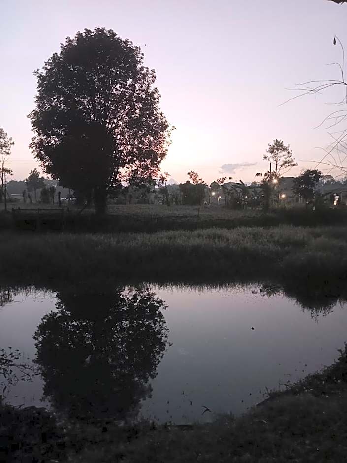 D&Dโฮม@เขาค้อ