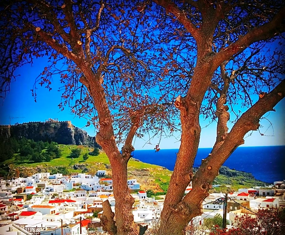 Little Lindos Sea View Studios