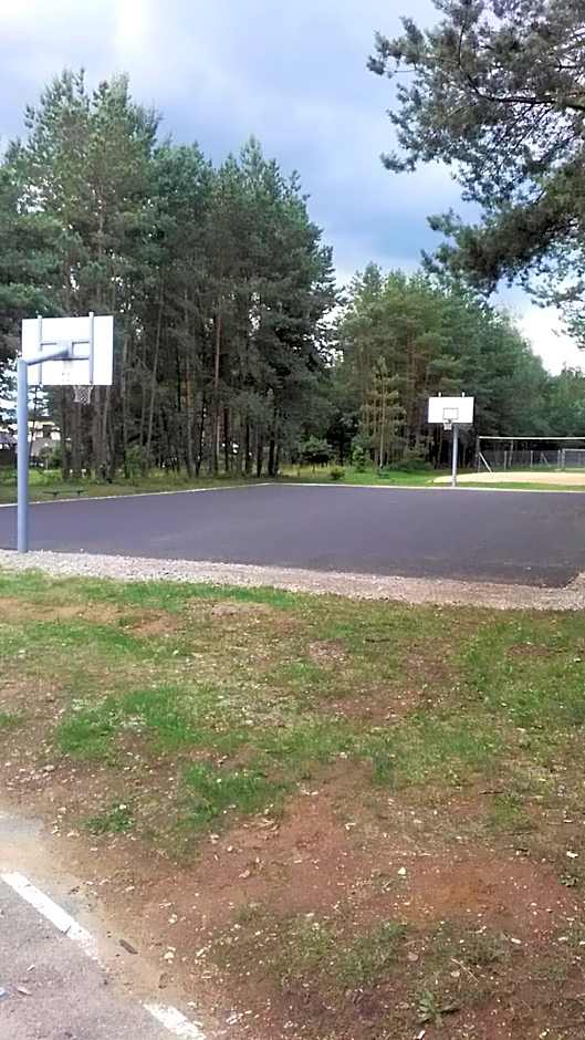 Ginto svetingi namai