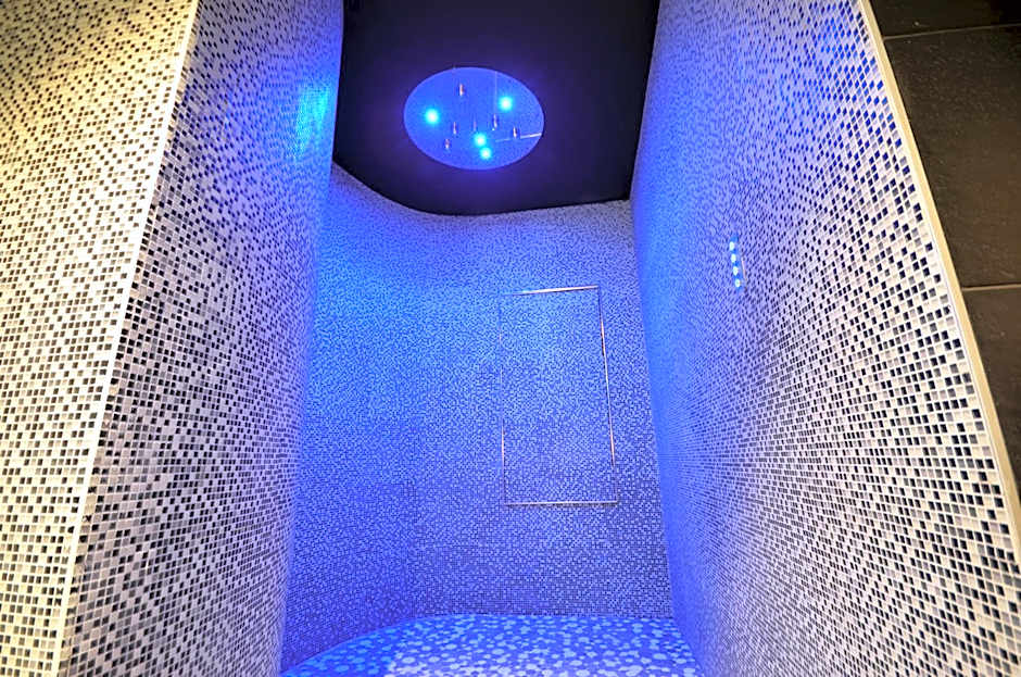 Holiday Inn Dijon Toison Dor By IHG