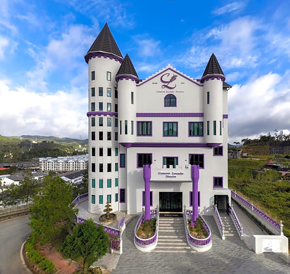 Cameron Lavender Mansion by PLAY 