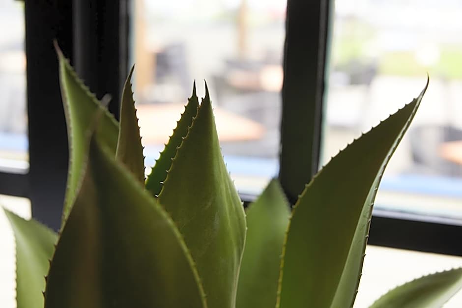 The Kings Head Wroxham by Greene King Inns