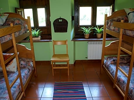 Bunk Bed in 4-Bed Mixed Dormitory Room with Shared Bathroom