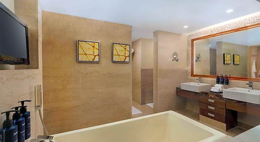 Radisson Blu Hotel Greater Noida