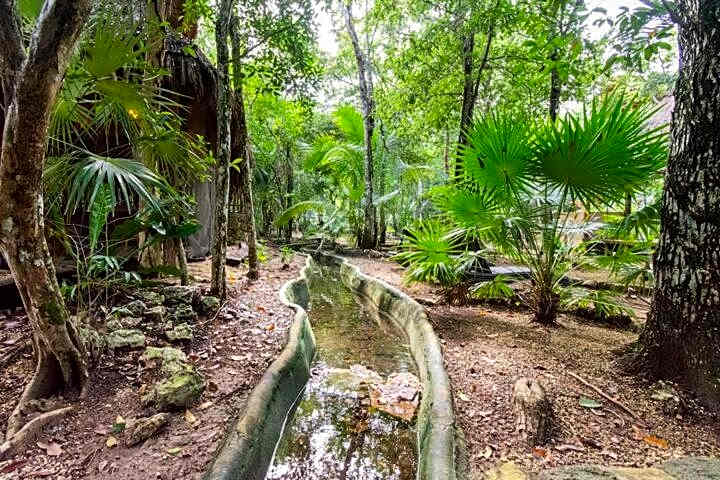 La Casa de María 11:11