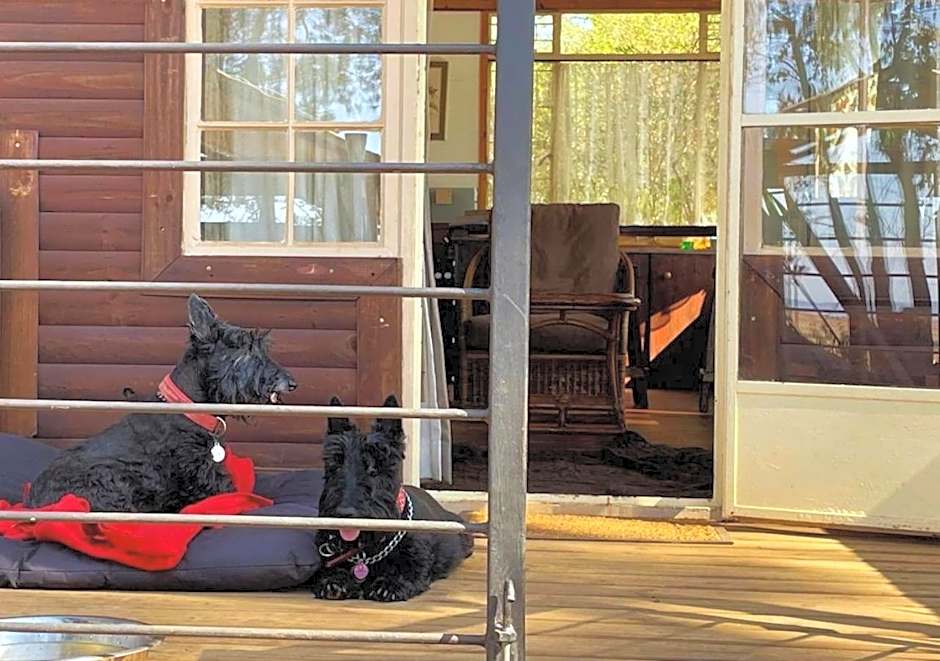 Woodland Gardens Self-Catering & Pet-Friendly Lodge