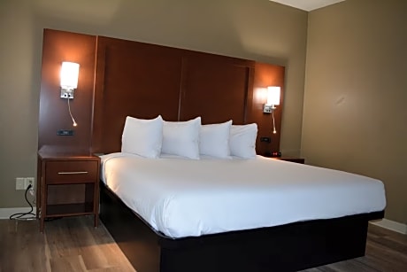 1 King Bed Deluxe Suite Non-Smoking