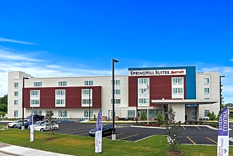 SpringHill Suites by Marriott Baton Rouge Gonzales