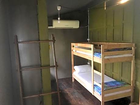 Bunk Bed in Mixed Dormitory Room