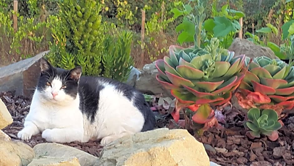 Quinta Quatro Ventos