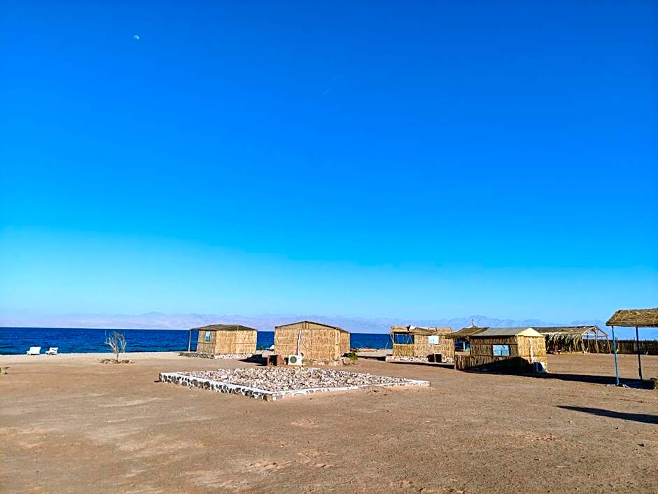 New Droub Camp