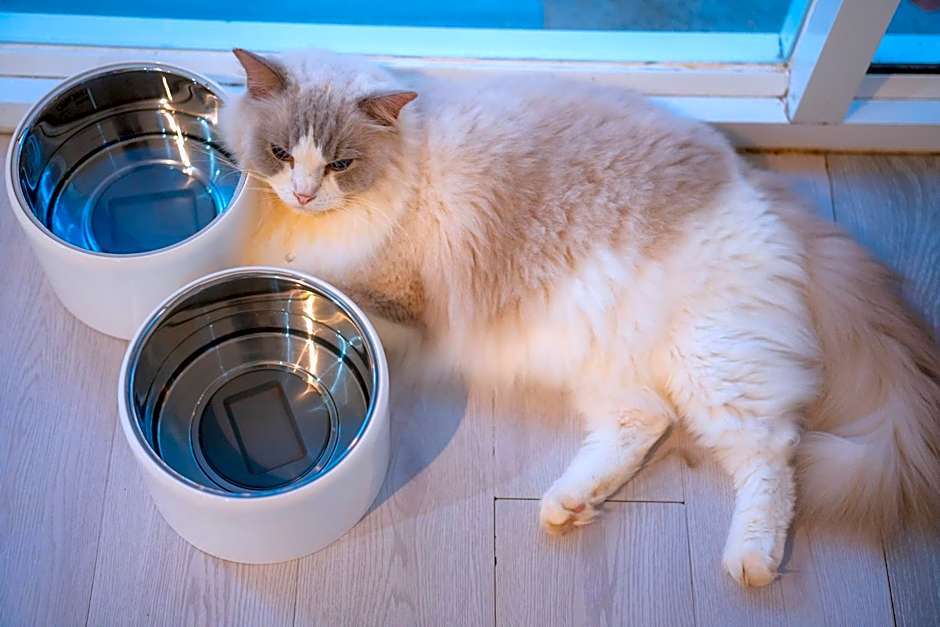 Patong Beach Side Hotel