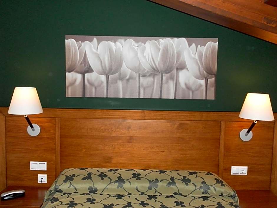 Hotel Milagros Rio Riaza