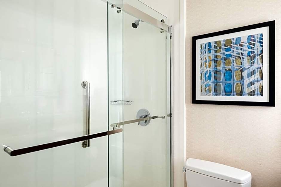 Hilton Garden Inn Chicago Downtown/Magnificent Mile