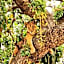 Foresight Eco Lodge & Safari