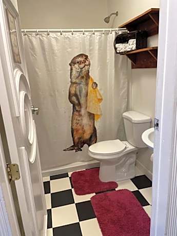 Single Bed in Mixed Dormitory Room with Shared Bathroom