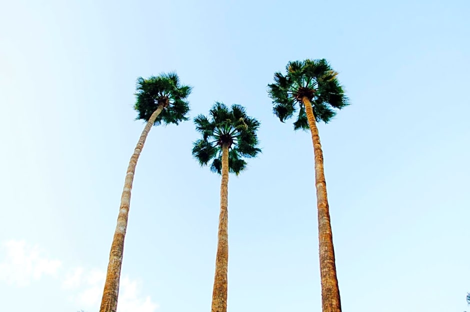 Delos Reyes Palm Springs