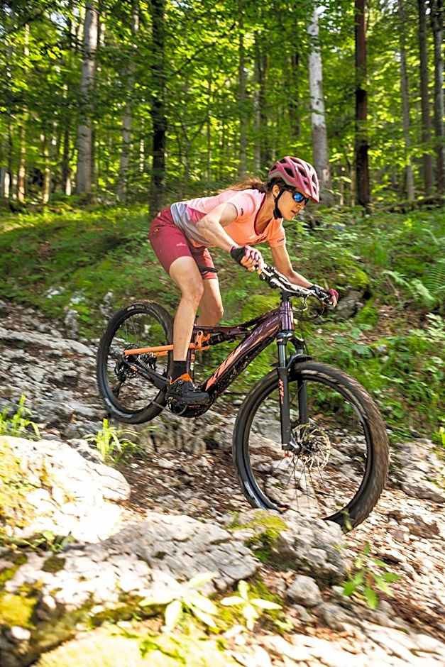 See-Hotel Post am Attersee