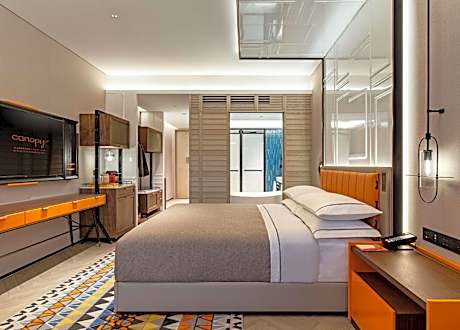 Deluxe Canopy Room with City View