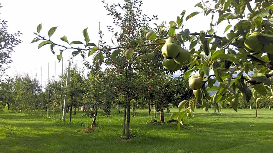 Sport Manca Garni Hotel