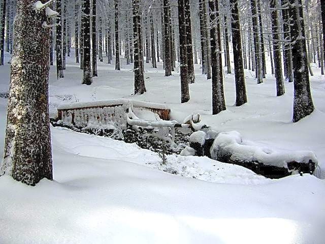 Hotel Zum Schneekopf "Garni"