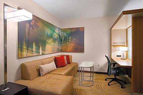 King Studio with Sofa Bed and Mountain View - Hearing Accessible