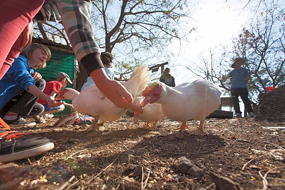 Bestbrook Mountain Farmstay