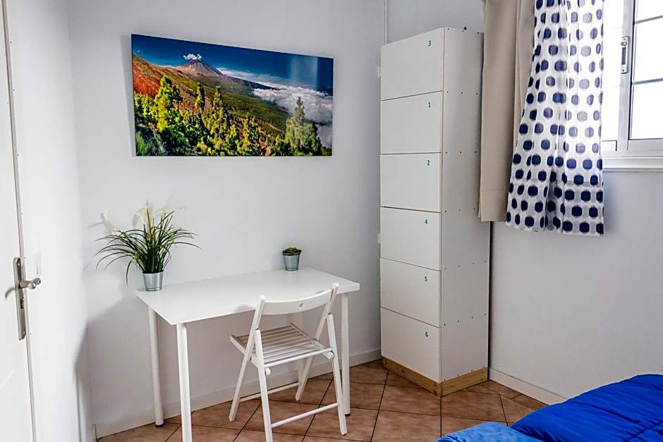 Aloe Vera Shared House