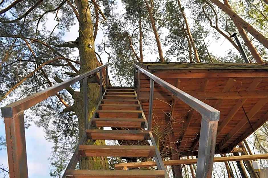 Domek na Drzewie
