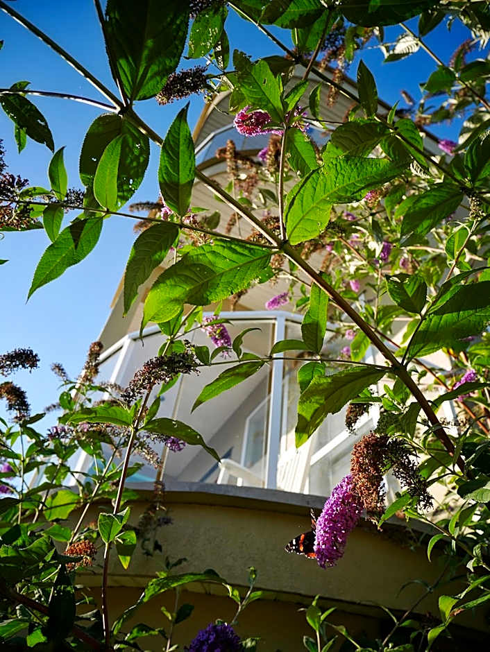 Star of the Sea guest house