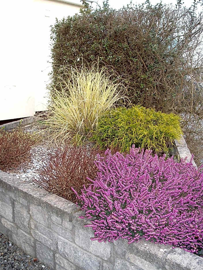 Maryville Bed and Breakfast