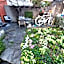 Viktoria Budget Hostel