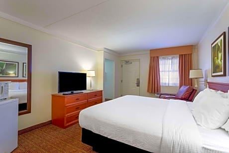 1 KING BED DELUXE ROOM NON SMOKING