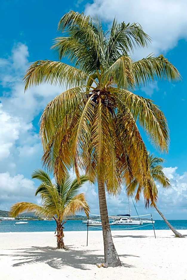 Hotel On The Cay