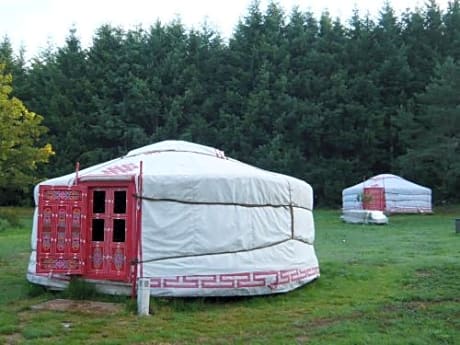 Yurt (3 Adults)