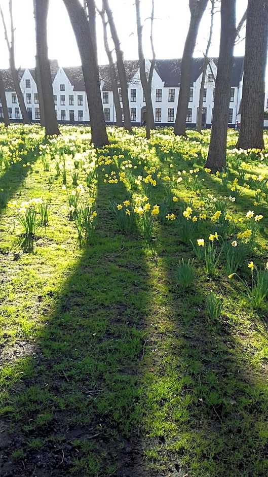 Maison Amodio Boutique B&B adults only