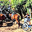 Rancho con Caballos El Reencuentro