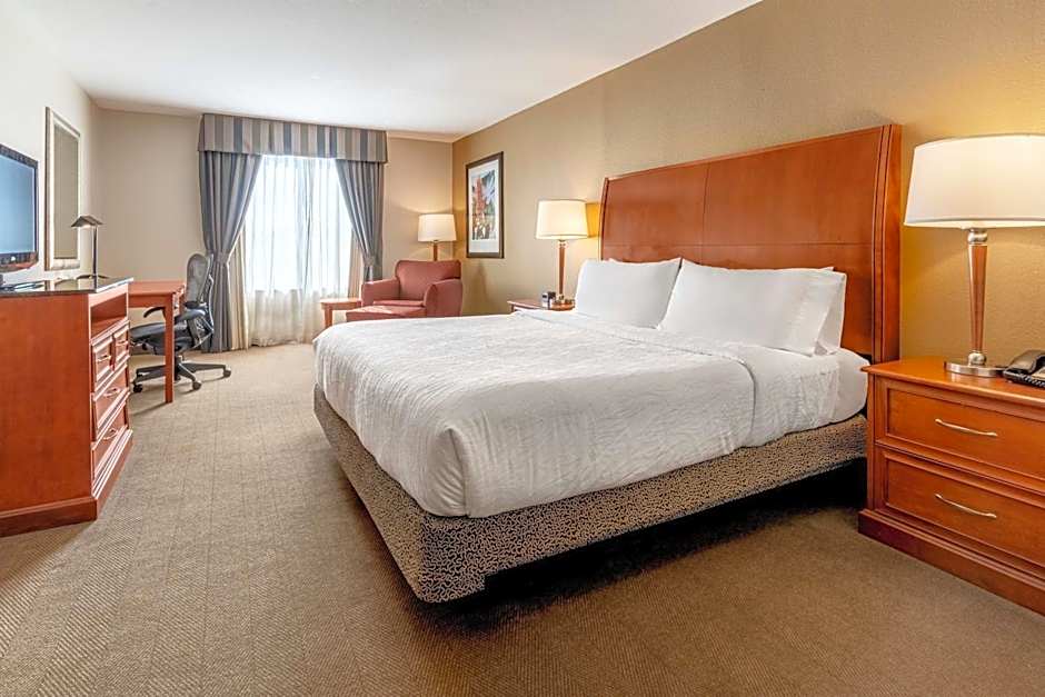 Hilton Garden Inn Houston/The Woodlands