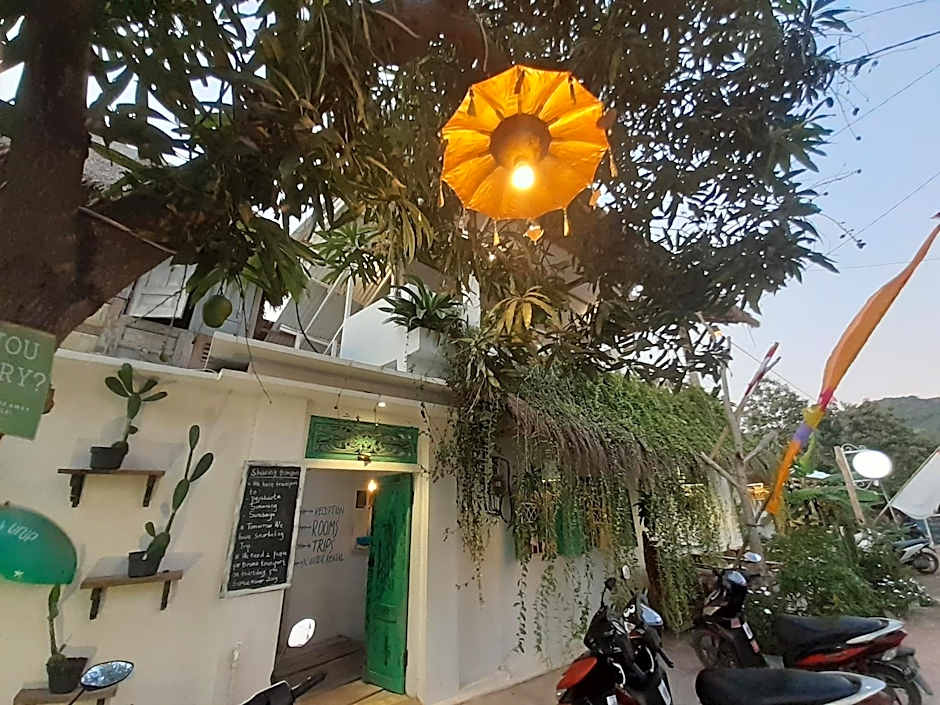 The Bodhi Tree Karimunjawa