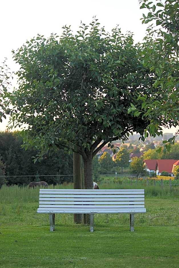 Hotel Pension Haus Stork