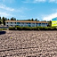 SureStay Hotel by Best Western Williams - Grand Canyon